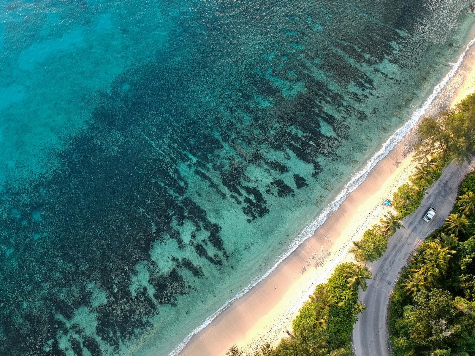 aerial photography sea and road with vehicle near trees