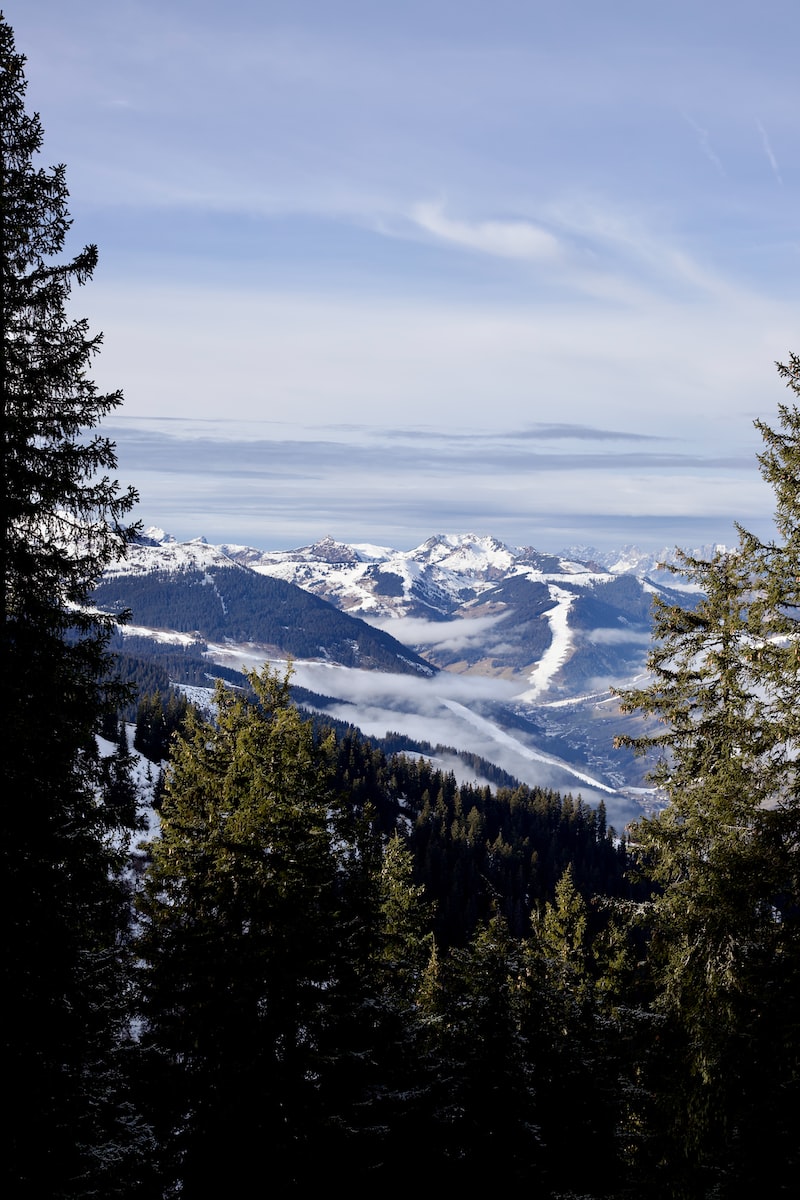 a view of a snowy mountain range with pine trees